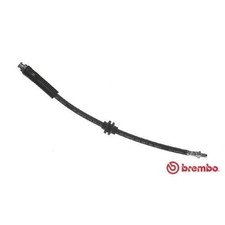 2x Bremsschlauch vorne für Fiat Linea 323 Punto 188 199 EVO Qubo 225 | 24397859