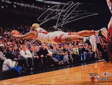 Dennis Rodman Cards and Memorabilia Guide 20