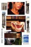 The Inappropriate Library Kim Isaac Greenblatt Taschenbuch Englisch 2008