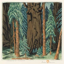 Gustave Baumann : Sequoia Forest : Archival Art Print