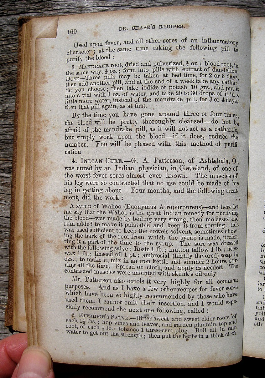 1867  Antique Cookbook Pioneer Frontier Farm Home Household Herbal Healing  Beer