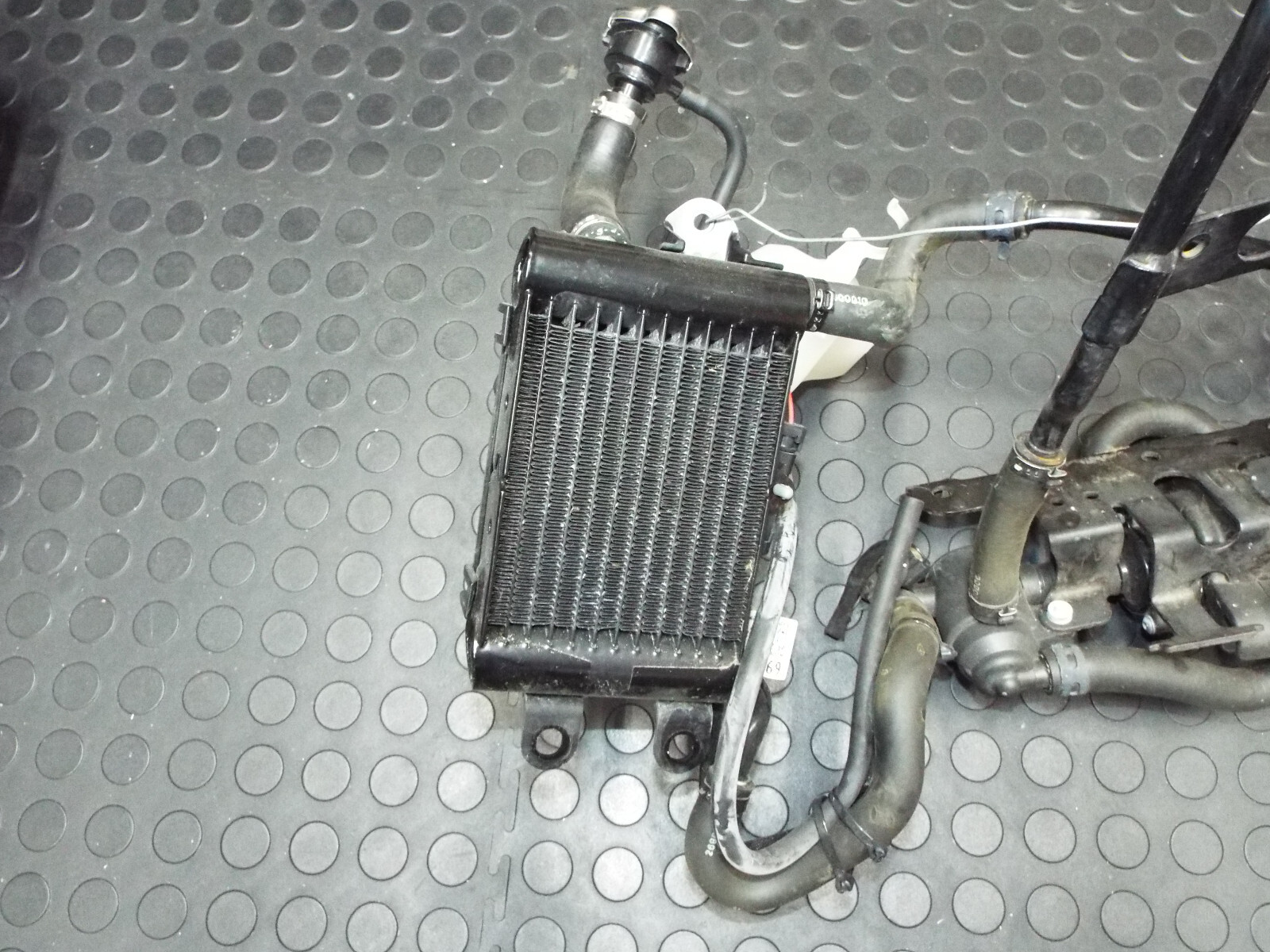 Harley-Davidson 26800019A for sale online | eBay 