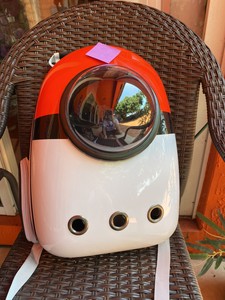 pokemon cat backpack