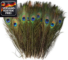 Natürliches Pfauenfedern Set 30 Stück für Dekorationen Kunsthandwerk Hochzeit