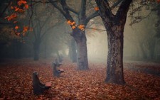 Landscape fall bench leaves park trees calm fallen Custom Gaming Mat Desk