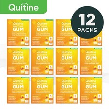 Quitine Nicotine Gum 4mg Traditional Fruit 2880 Pieces 12 bulk boxes