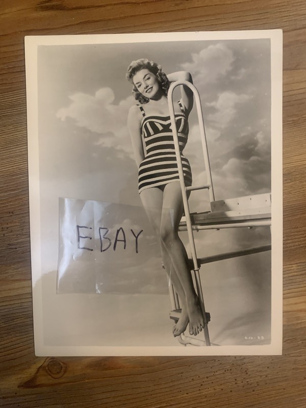 Sexy Leggy Busty Cheesecake Actress Stephanie Griffin 8x10 Photo The Last Wagon