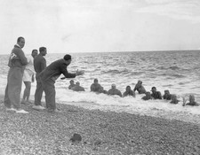 Ten Egyptian swimmers training for their channel swim attempt at F- Old Photo