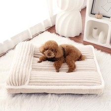 Luxury Dog Bed with Pillow Cute Flannel Pet Bed with M 31x25x3in Cream