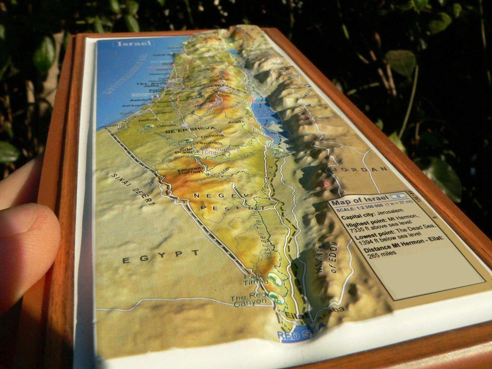 Large 3D MAGNET- MAP OF ISRAEL English Topographic Holy Bible Land