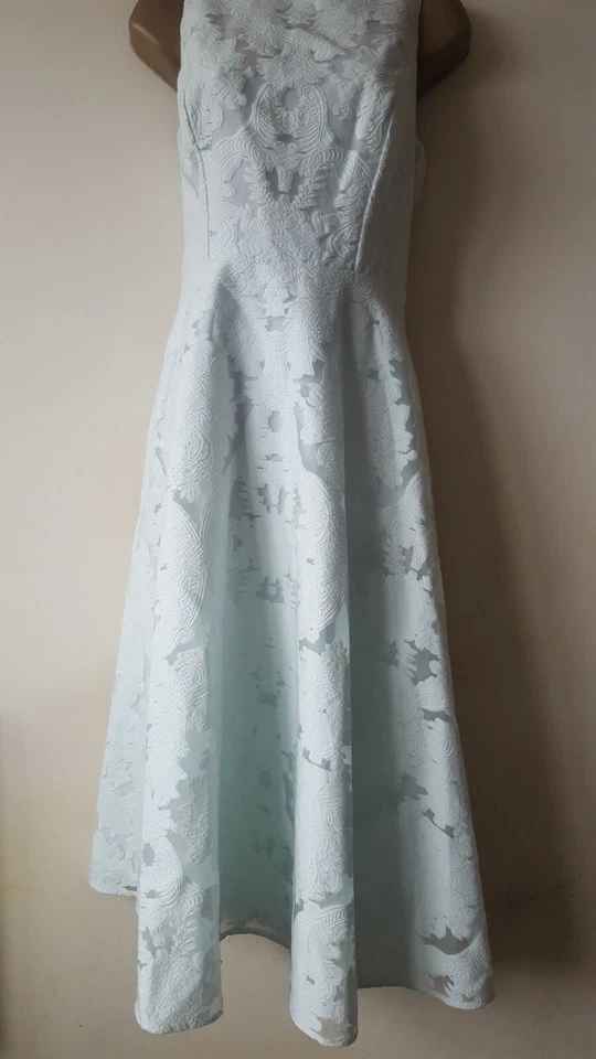 TED BAKER ✩ STUNNING ROSHI JACQUARD LACE BURNOUT DRESS 2/10 - Image 2 of 4