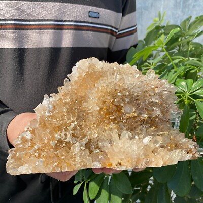#ad #ad 5.49LB Natural and beautiful white chrysanthemum quartz crystal cluster healing $390.00