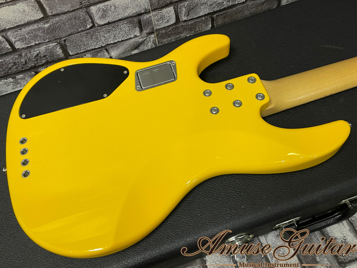 1959年クラウンローヤル 秋葉原～つくば駅、つくば市内