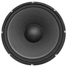 Richter 15 Inch Raw Speaker Woofer 250W RMS