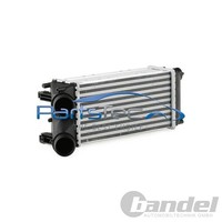 Partstec LadeluftkÜHler TurbokÜHler Passend FüR CitroËN Berlingo C4 Peugeot