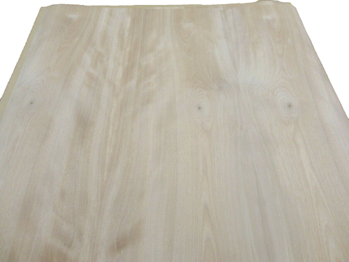 Impiallacciatura legno rosso betulla 48" x 24" con supporto carta qualità A spessore 1/40" - Foto 8 di 10