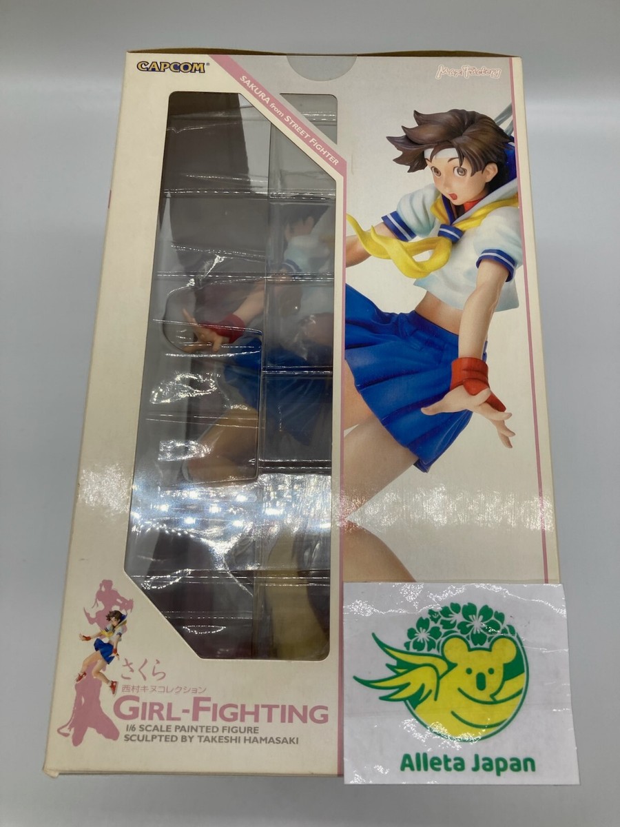 Sakura Nishimura Kinu Collection Street Fighter Girl-Fighting 1/6