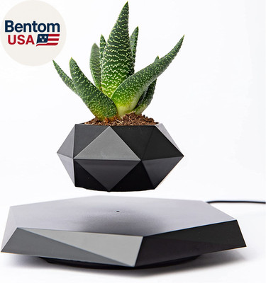 Floating Pots for Plants - Levitating Pot - Levitating Planter for Bonsai, Succu