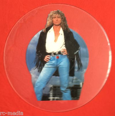 WHITESNAKE - Now You're Gone - Uncut Picture Disc (Vinyl Record) Test Pressing