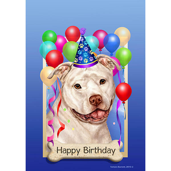 Pitbull Bikini Birthday Card 