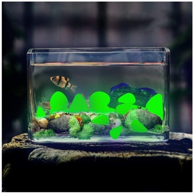 Eco-Friendly Green Glow Pebbles - Pathway & Fish Tank