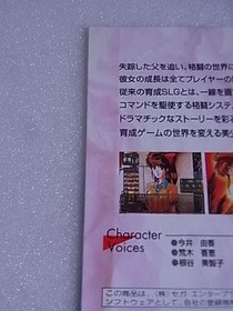 Promotional Product Tactical Fighter Sega Saturn SS Storefront Sample Ad #afa695