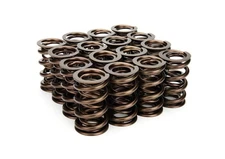 Manley Performance Products 1.640 NexTek Valve Springs 221425-16