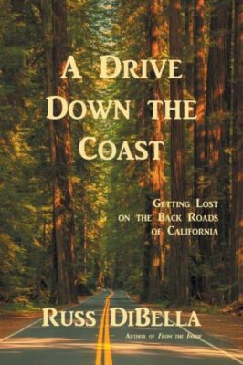 A Drive Down The Coast: Getting Lost On The Back Roads Of California