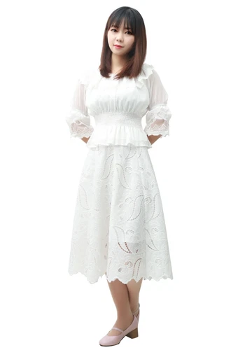 DAZCOS Women Layered Hem Half Sleeves Chiffon Lace Dress