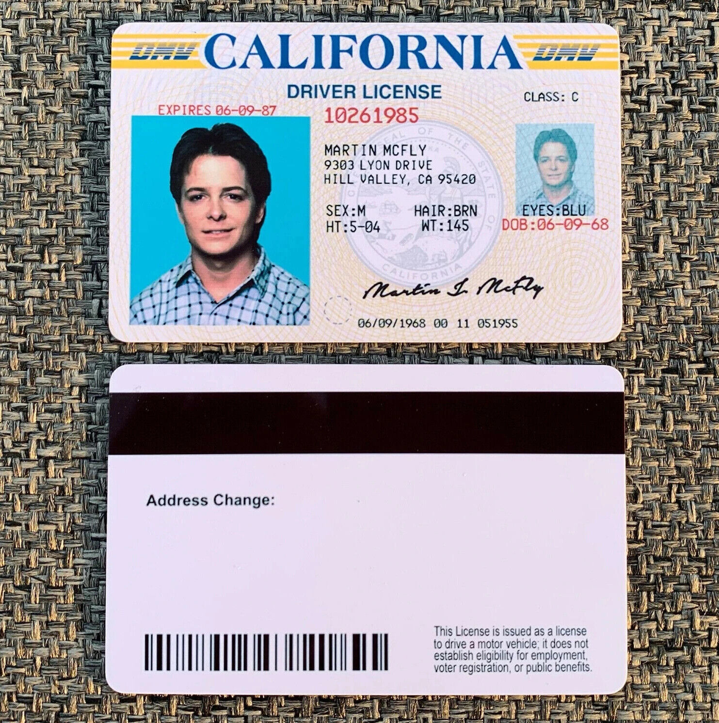 Marty McFly ID CARD - Back to the Future - Michael J Fox - License - Prop  Mc FLY | eBay