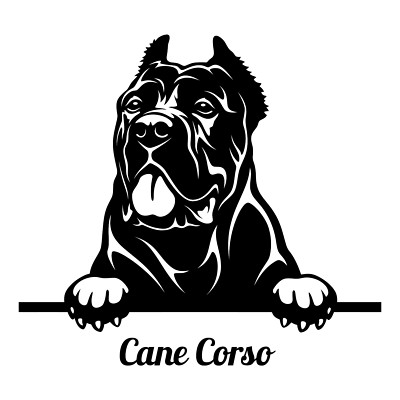 10X Cane Corso Auto Aufkleber 9X9 cm Hunde Sticker Mit Wunschname