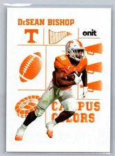 DeSean Bishop Campus Colors White Tennessee Volunteers 2025 Onit Football