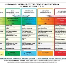 Image of Autonomic Nervous System Table: Laminated Card - 9780393712803