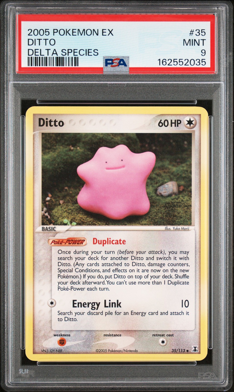 Ditto #35