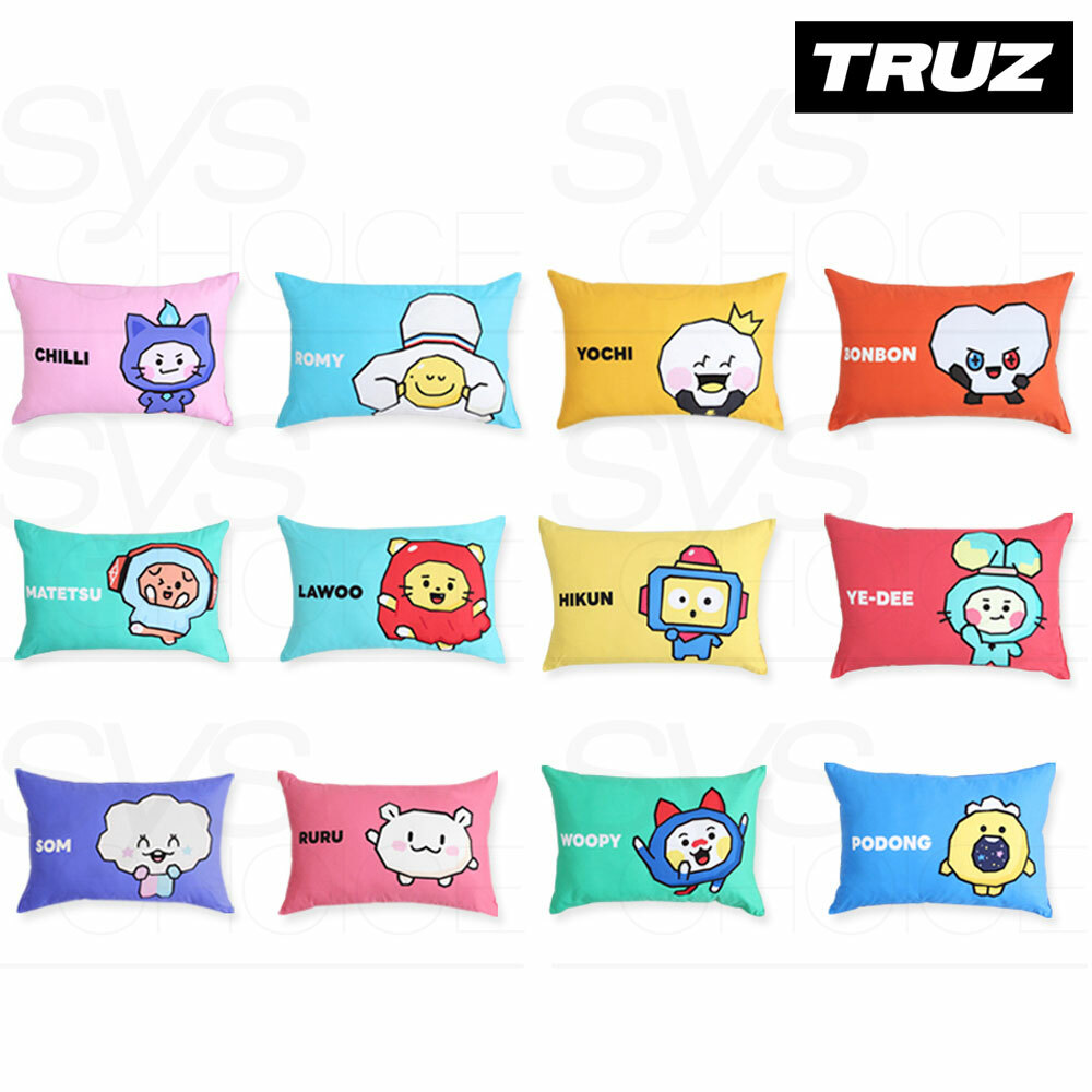 TREASURE TRUZ Official Goods Pillow Cover + Tracking Number | eBay