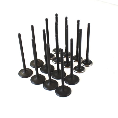 16Pcs Intake & Exhaust Valve For Hyundai Elantra GT Tucson Kia Forte Soul 2.0L - Picture 2 of 4