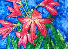 Red Flower, Amaryllis Flowers, Watercolor Original, IMPRESSIONISM