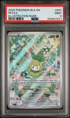 Petilil graded PSA 9 for sale on eBay