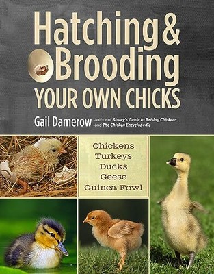 Hatching & Brooding Your Own Chicks: Chicke..., Damerow