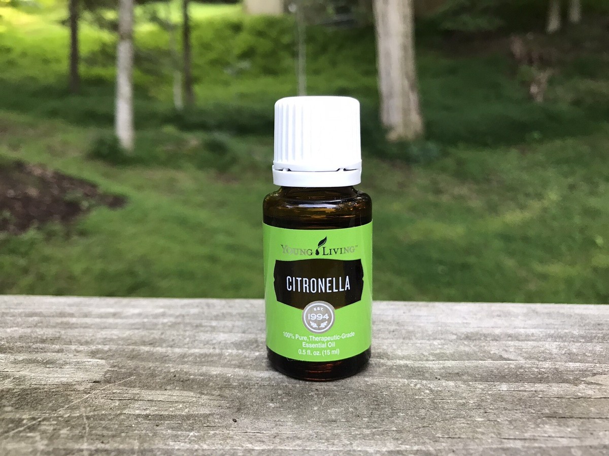 Young Living Citronella Essential Oil 15ml | eBay