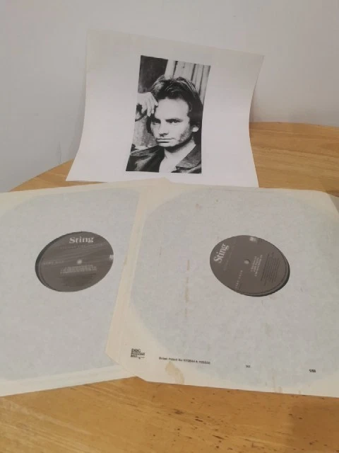 STING - NOTHING LIKE THE SUN. 2LP A&M  6402  1987  Original with inserts - Image 3 of 3