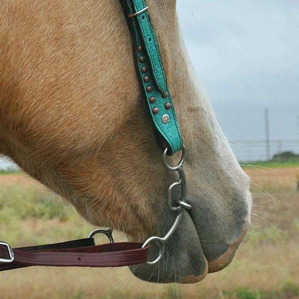 Broca de barril mordaza de vástago Carol Goostree Delight CLASSIC EQUINE con cadena de barra gruesa Foto 2 de 2