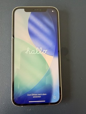 Apple iPhone 12 Pro 256 GB Silber 