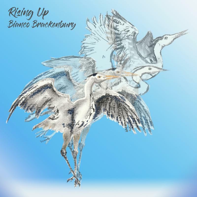 Bianco Brackenbury Rising Up CD NEW