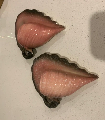 Pair of Vintage Woodland Hull Pottery Wall Pockets. Very Nice!