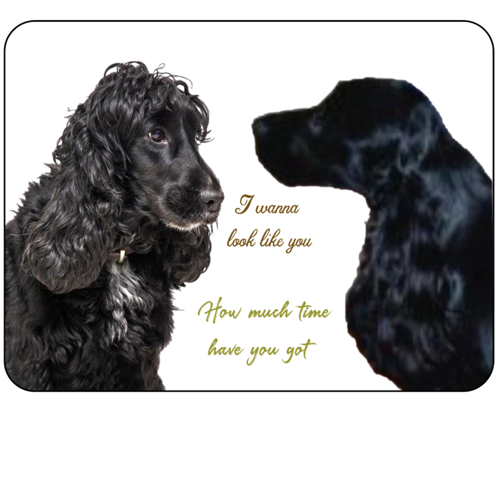 Cocker Spaniel Novelty Sign fun dog humour black dog Gundog Show Cocker