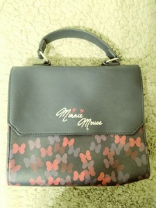 disneyland crossbody bag