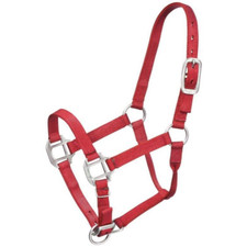 Tough 1 Premium Nylon Halter