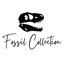 Fossil&Collection