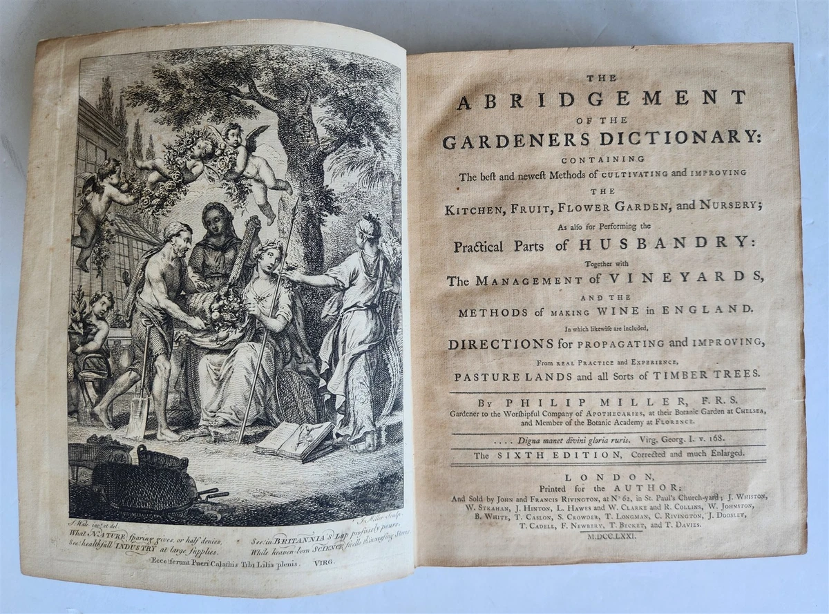 Illustrated Bible 1850-1899 Antiquarian & Collectible Books for